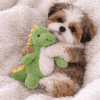 Cachorro Shih Tzu